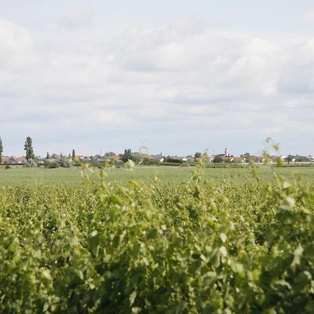 Pension & Weingut Storchenblick Illmitz Luaran gambar
